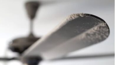 Photo of दिल्ली: कालिंदी कॉलेज में शिक्षिका के सिर पर गिरा पंखा…