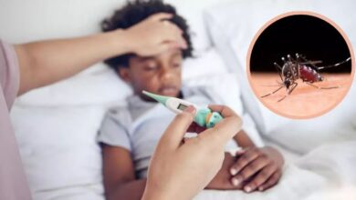 Photo of 5 तरह का हो सकता है मलेरिया बुखार, जान लें लक्षण; अनदेखा करना पड़ सकता है भारी