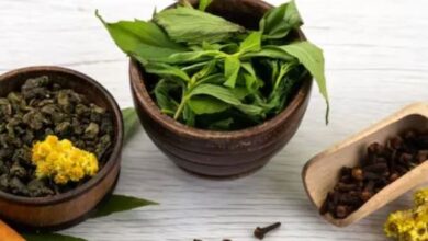 Photo of आंतों की सूजन कम करने में मदद करेंगी 6 Herbs