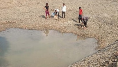 Photo of प्रदेश में सबसे ज्यादा 687 खेत-तालाब का निर्माण शुरू, बारिश का पानी बचेगा