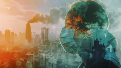 Photo of कागजों में ही हो रहा है वायु प्रदूषण की शिकायतों का निपटारा