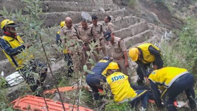 Photo of बदरीनाथ के दर्शन कर लौट रहे हरियाणा के युवकों की बाइक पर गिरे पत्थर, खाई में गिरने से दोनों की मौत