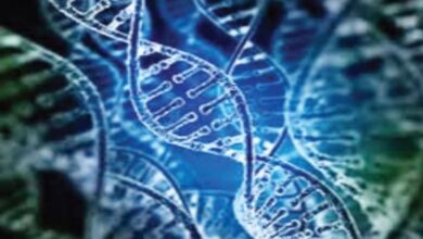 Photo of दिल्ली: बढ़ रहे हैं कैंसर के मामले, 10 साल में आंकड़ा पहुंचा तीन गुना