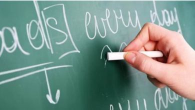 Photo of उत्तराखंड : शिक्षा विभाग में बनेगा त्रिस्तरीय कैडर