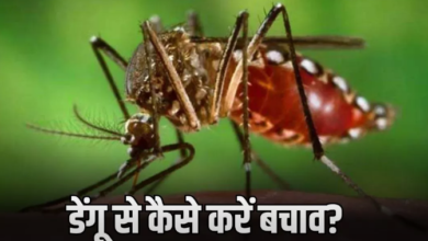 Photo of मानसून में बढ़ जाता Dengue का खतरा, इन लक्षणों को न करें इग्नोर