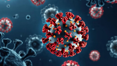 Photo of लखनऊ: शहर में मिले पांच नए कोरोना संक्रमित मरीज, अब तक 43 मरीज मिल चुके हैं पॉजिटिव