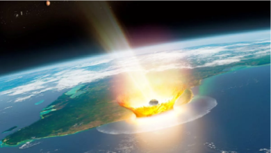 Photo of 30 जून को क्यों मनाया जाता है वर्ल्ड एस्टेरॉयड डे?