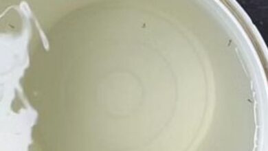 Photo of प्रदूषण नियंत्रण बोर्ड ने खोली दिल्ली में स्वच्छ पेयजल की पोल