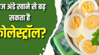 Photo of क्या रोज अंडे खाने से बढ़ सकता है कोलेस्ट्रॉल? यहां जानें
