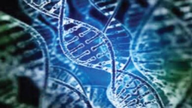 Photo of दिल्ली: 30 से 40 साल के युवाओं में तेजी से बढ़ रहा ब्लड कैंसर