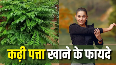 Photo of रोज सुबह खाली पेट चबा लें 7-8 कढ़ी पत्ते, मिलेंगे 8 कमाल के फायदे