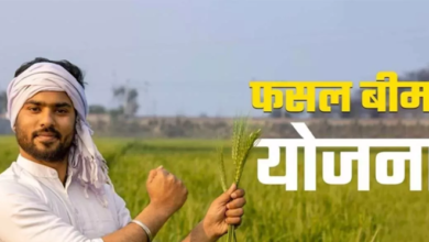 Photo of बढ़ेगा पीएम फसल बीमा का दायरा, पहले बिहार-झारखंड समेत कई राज्यों ने नहीं की लागू