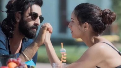 Photo of Triptii Dimri की ‘Animal’ के बाद परेशान हो गई थी उनकी बहन, एक्ट्रेस ने बताया उनका हाल