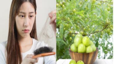 Photo of हेयर फॉल रोकने के लिए इन 5 तरीकों से करें आंवले का इस्तेमाल