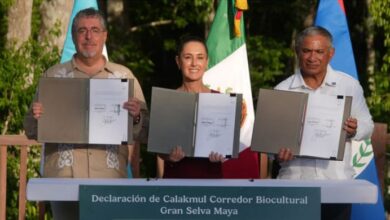 Photo of माया जंगल की रक्षा के लिए तीन देशों में समझौता