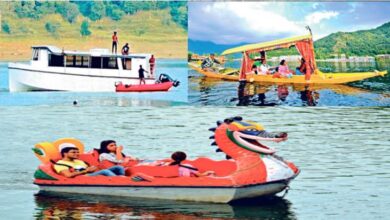 Photo of पौंग बांध में नहीं चलेगा क्रूज, शिकारा और पैडल बोट पर बनी बात