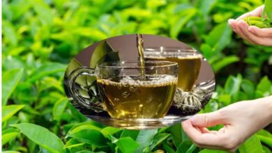 Photo of ग्रीन टी ही नहीं, ये 5 जापानी ड्रिंक्स भी वजन कम करने में करेंगी कमाल
