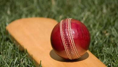 Photo of जम्मू-कश्मीर में हुए सड़क हादसे में क्रिकेटर की मौत, दूसरे की लापरवाही से गई जान