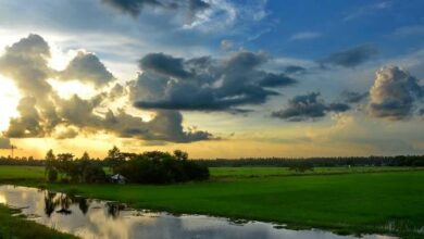 Photo of यूपी: प्रदेश से मानसून ने बनाई दूरी ,21 अगस्त तक पड़ेगी परेशान करने वाली गर्मी