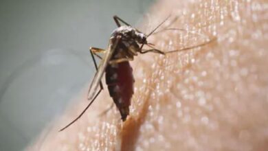 Photo of दिल्ली में बढ़ रहे हैं मलेरिया के मामले ,डॉक्टर ने बताया क्या है बचाव का सही तरीका