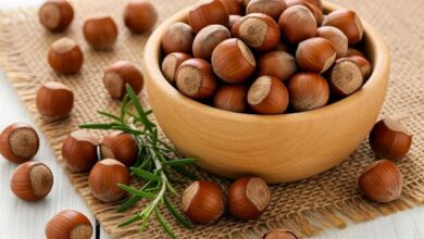 Photo of हेज़लनट्स से बॉडी को मिलते हैं कई लाभ, सिर से लेकर पैर तक होते हैं फायदे