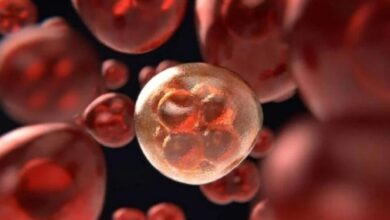 Photo of कैंसर के इलाज में जगी नई उम्मीद, इम्यूनोथेरेपी दवा ने दिखाया कमाल