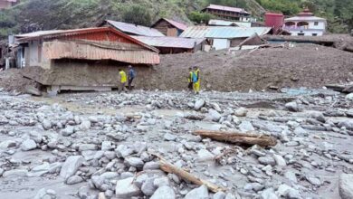 Photo of उत्तराखंड : प्रदेश में अकेले उत्तरकाशी में 70% बगीचे तबाह
