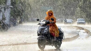 Photo of यूपी: प्रदेश के 24 जिलों में आज होगी भारी बारिश, स्कूल-कॉलेज हुए बंद