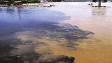 Photo of दिल्ली: यमुना में मिलाकर बहाया जा रहा घरेलू और औद्योगिक कचरा