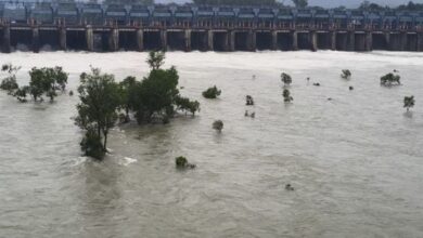 Photo of पठानकोट में पहाड़ दरके, लुधियाना में सेना ने संभाला मोर्चा