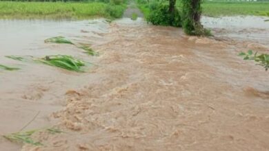 Photo of महाराष्ट्र: जलगांव में बादल फटने जैसा मंजर, 10 गांव प्रभावित