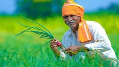 Photo of यूपी के इस जिले में अपात्रों ने हड़पी किसान सम्मान निधि की राशि