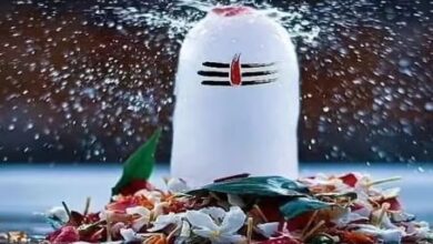 Photo of सर्व पितृ अमावस्या पर शिवलिंग में चढ़ाएं ये चीजें