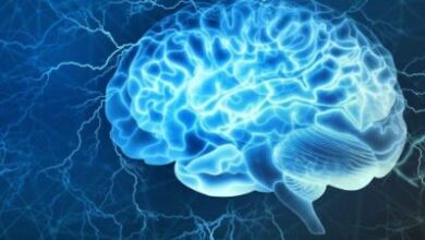 Photo of क्या डायबिटीज, हाई बीपी और मोटापे से बढ़ता है अल्जाइमर का खतरा