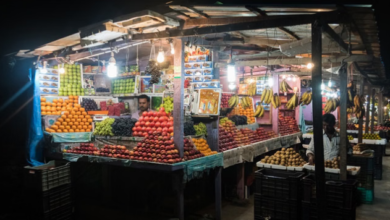 Photo of दिल्ली:  नवरात्रि पर सेब, अनार, केला और नारियल, फलों के दामों में 25-35 फीसदी की वृद्धि