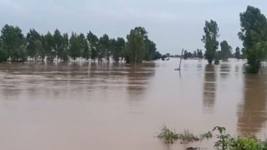 Photo of पंजाब में सतलुज, ब्यास-रावी और घग्गर दरिया समेत सभी नालों की होगी स्टडी