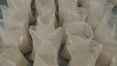Photo of नवी मुंबई पुलिस ने 26.48 करोड़ की ड्रग्स नष्ट की, फुकेट-मुंबई उड़ान में धूम्रपान करने वाला गिरफ्तार