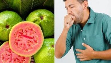 Photo of इन 5 हेल्थ कंडीशन वाले लोगों को नहीं खाना चाहिए अमरूद