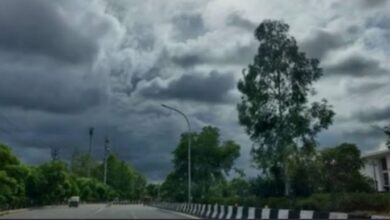 Photo of मध्य प्रदेश में दिन में तेज धूप, रात में हल्की ठंडक शुरू