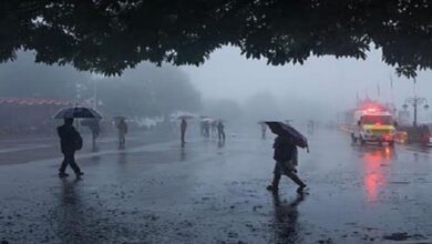 Photo of हिमाचल में जल्द होगी बर्फबारी और बारिश की दस्तक