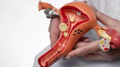 Photo of बेली फैट के कारण महिलाओं में बढ़ता है एंडोमेट्रियल कैंसर का खतरा