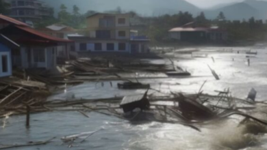 Photo of मैक्सिको में बाढ़ से पूरा गांव बहा, 60 से ज्यादा लोगों की मौत