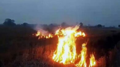 Photo of पंजाब में जल रही ज्यादा पराली… आने वाले दिनों में और जहरीली होगी हवा