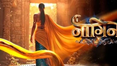 Photo of एकता कपूर के शो में नागिन बनेगी ये हसीना