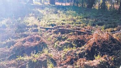 Photo of हिमाचल में किसानों को बारिश का इंतजार