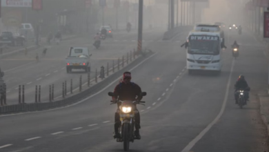 Photo of बर्फीली हवाओं की चपेट में मध्यप्रदेश, कोहरे से जनजीवन बेहाल, पारा 4 डिग्री से नीचे लुढ़का