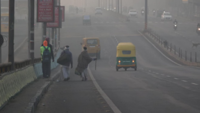 Photo of एमपी में ठंडी हवाओं ने बढ़ाई ठिठुरन, तापमान 5.8 डिग्री