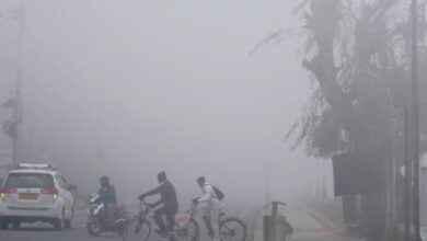 Photo of पंजाब में ठंड, मौसम विभाग ने जारी की  चेतावनी