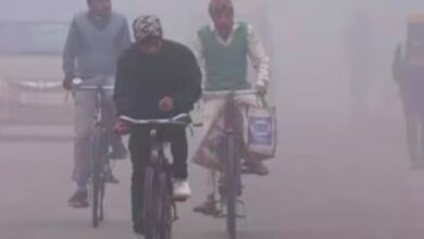 Photo of मध्यप्रदेश में रिकॉर्डतोड़ सर्दी, कई शहर 5 डिग्री के आसपास