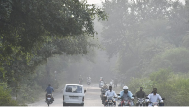 Photo of मध्यप्रदेश में कड़ाके की सर्दी का प्रकोप, पारा 4 डिग्री से नीचे